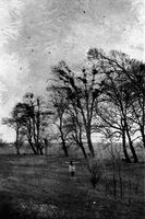 МЕЧТИ 1; Коментари:14