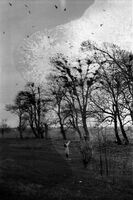 МЕЧТИ 2; Коментари:13