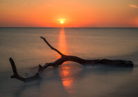 без име ( ID=2566533 ); Коментари:10