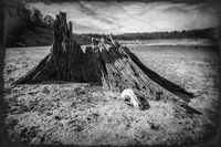 Lakebed; Коментари:14