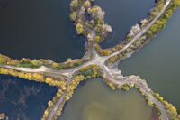 Кръстопът; Коментари:17