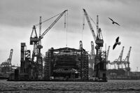 без име ( ID=2566566 ); Коментари:6