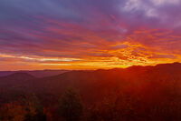 Огънят за зората...????????????; Коментари:2