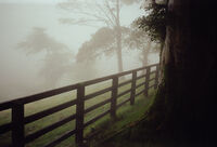 ххх; Коментари:7