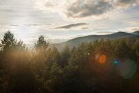 Белица; Няма коментари