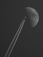 no name ( ID=2566628 ); comments:1