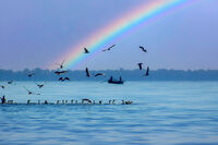 Щастлив улов; Коментари:9