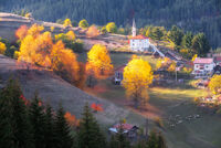 без име ( ID=2566635 ); Коментари:6