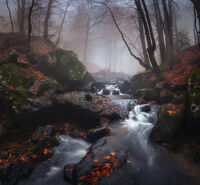 Със залязващата есен; Коментари:40