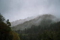 Мъглива планина; comments:2