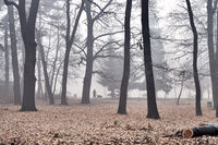 без име ( ID=2566650 ); Коментари:5