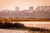 без име ( ID=2566653 ); Коментари:4