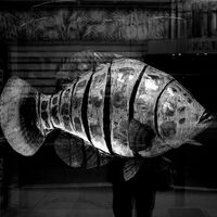 аз и рибата; comments:8