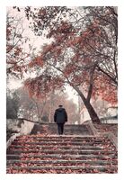 без име ( ID=2566699 ); Коментари:8