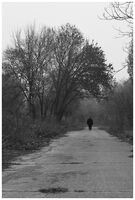 no name ( ID=2566705 ); comments:9