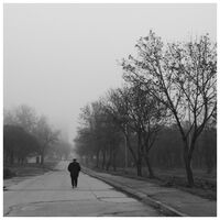 no name ( ID=2566721 ); comments:11