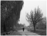 no name ( ID=2566724 ); comments:3