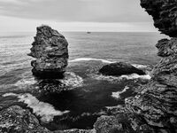 без име ( ID=2566727 ); Коментари:2