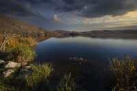 без име ( ID=2566761 ); Коментари:5