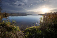 без име ( ID=2566762 ); Коментари:3