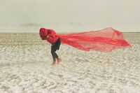 една цветна лента; comments:9