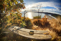 без име ( ID=2566777 ); Коментари:5