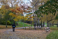 Напряко през есенната тишина; comments:2