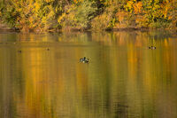 no name ( ID=2566831 ); comments:1