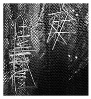 no name ( ID=2566842 ); comments:8