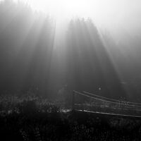 без име ( ID=2566872 ); Коментари:6