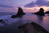 Корабите; Коментари:7