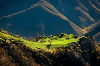 :); Коментари:13