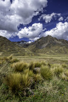 без име ( ID=2566946 ); Коментари:4