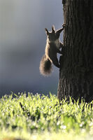 no name ( ID=2566948 ); comments:1