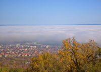 без име ( ID=2566955 ); Коментари:2