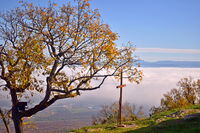 без име ( ID=2566956 ); Коментари:2