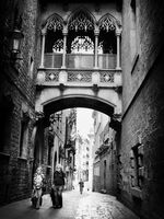 без име ( ID=2566966 ); Коментари:16