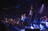 Metal heart; Няма коментари