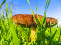 no name ( ID=2566980 ); comments:1