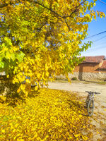 no name ( ID=2566981 ); comments:2