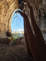 Марс; Коментари:5