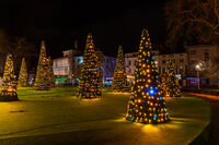 Коледна Варна; Коментари:3