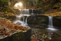 без име ( ID=2567001 ); Коментари:7