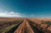 хоризонт; Коментари:1