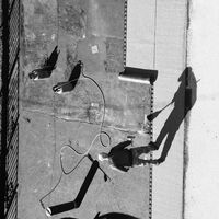 без име ( ID=2567037 ); Коментари:6