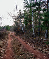 no name ( ID=2567052 ); comments:2