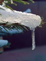 Студ; Коментари:1