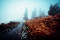 Духът на Витоша; Коментари:5