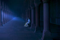 без име ( ID=2567075 ); Коментари:15