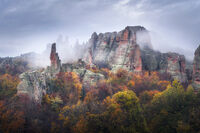 Безмълвни; Коментари:22